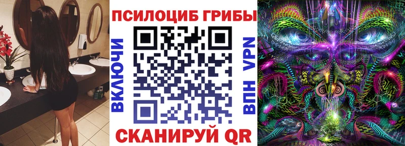 Купить закладки Нижневартовск Псилоцибиновые грибы Psilocybe